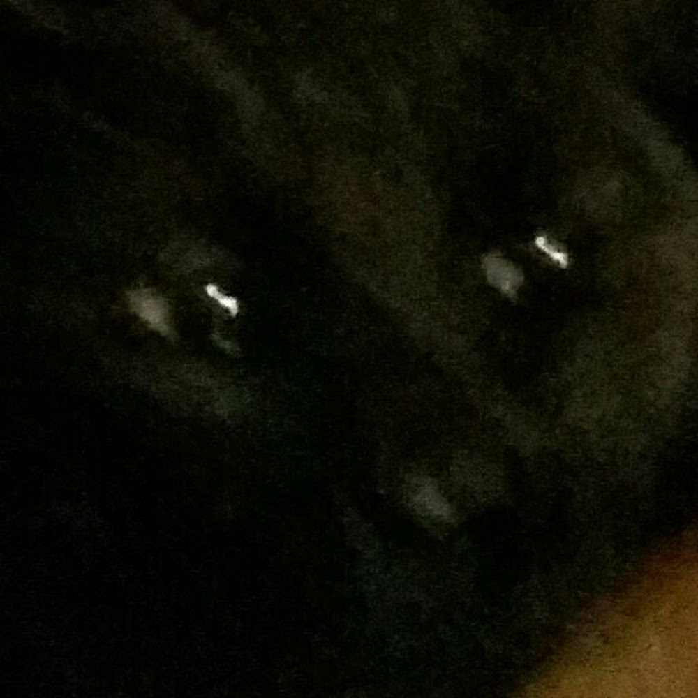 Meet your Posher, Alberto